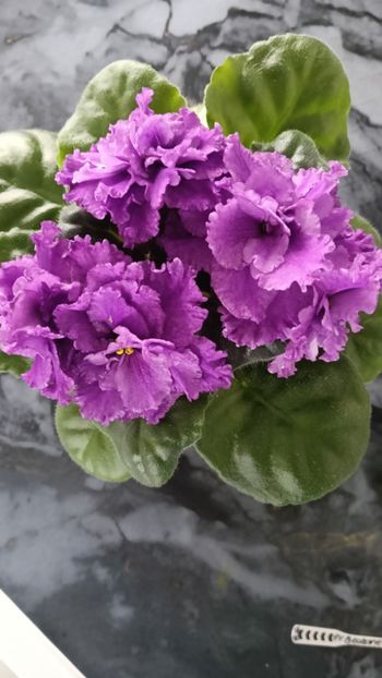  - AV- GROZOVYIE OBLAKA