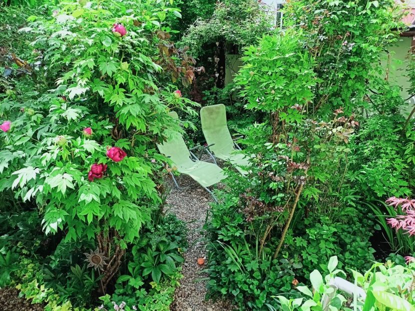  - Grădina 2025 continuare 1