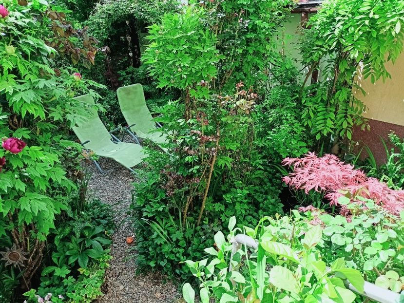  - Grădina 2025 continuare 1