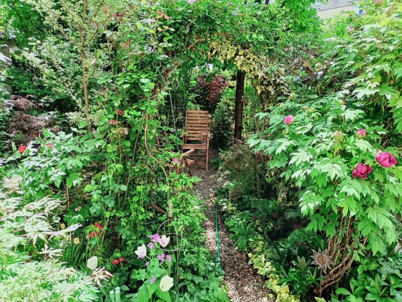  - Grădina 2025 continuare 1