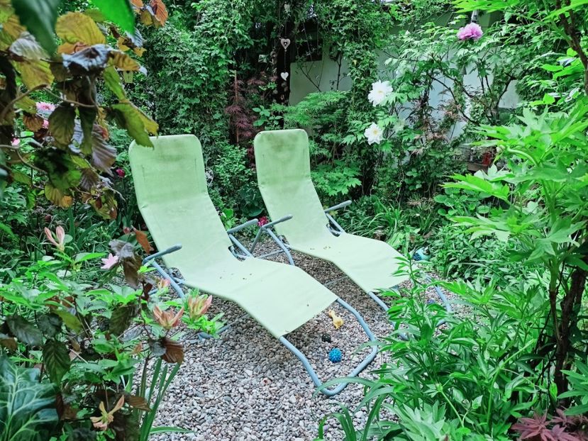  - Grădina 2025 continuare 1