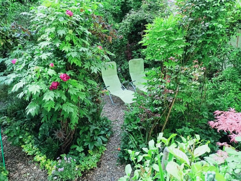  - Grădina 2025 continuare 1