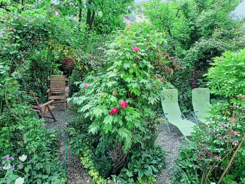  - Grădina 2025 continuare 1