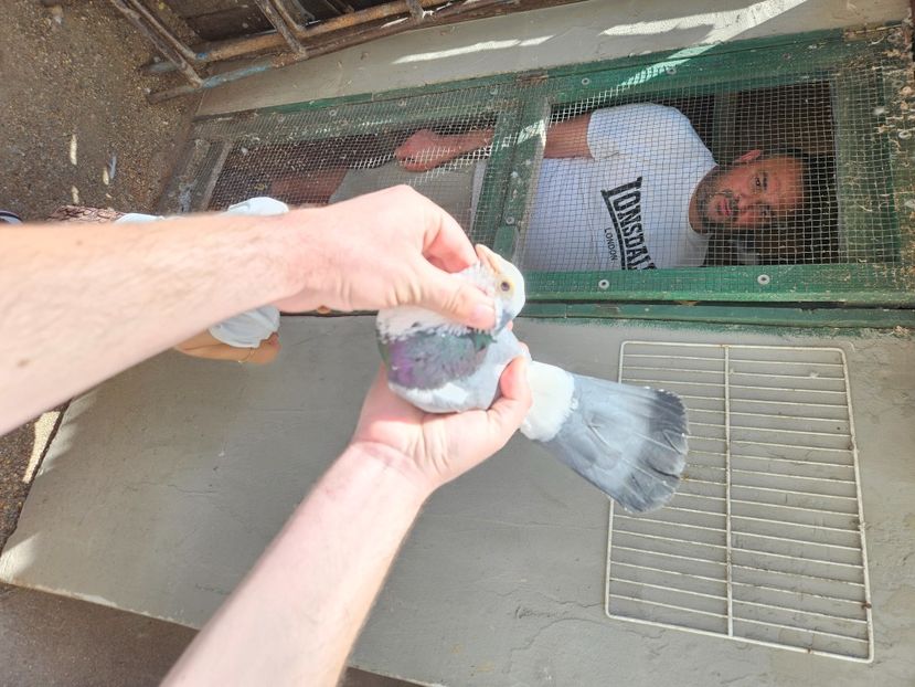  - 1978 Marian Campeanu