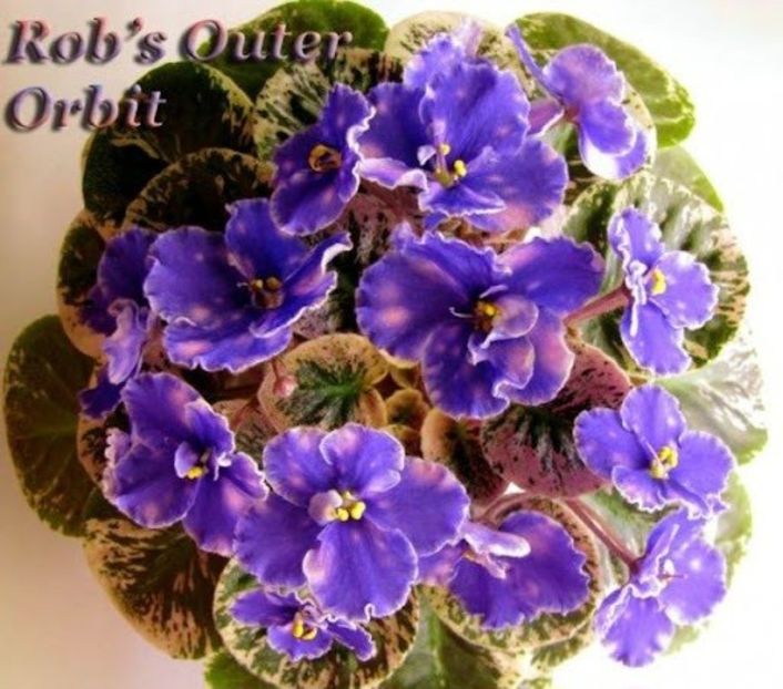  - Rob s Outer Orbit
