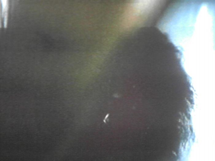 P060310_13.55_[16]