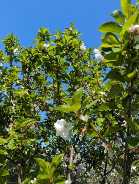  - Universul Natura și lumea mea frumoasă!