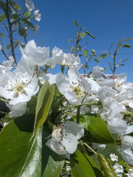  - Universul Natura și lumea mea frumoasă!