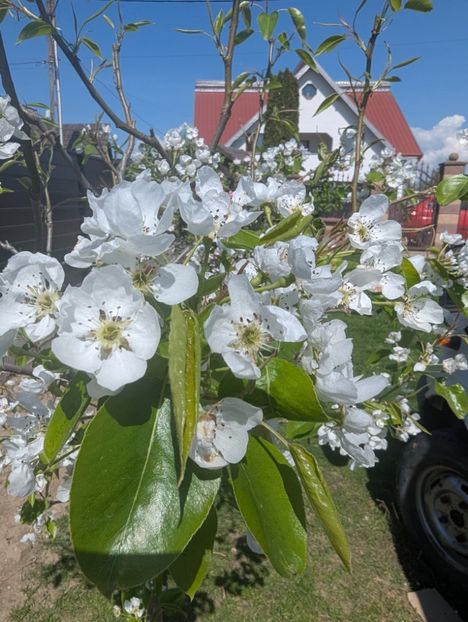  - Universul Natura și lumea mea frumoasă!