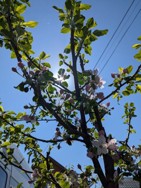  - Universul Natura și lumea mea frumoasă!