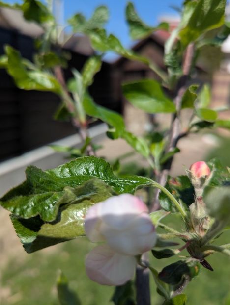  - Universul Natura și lumea mea frumoasă!