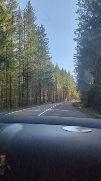  - Universul Natura și lumea mea frumoasă!