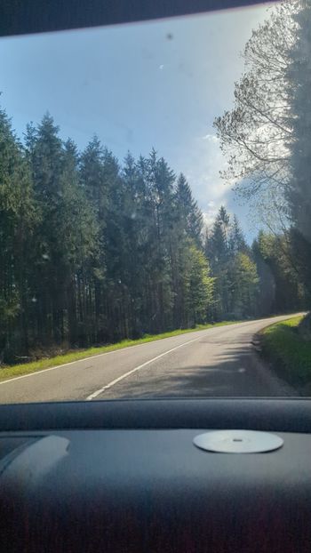  - Universul Natura și lumea mea frumoasă!