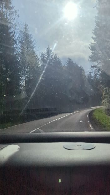  - Universul Natura și lumea mea frumoasă!