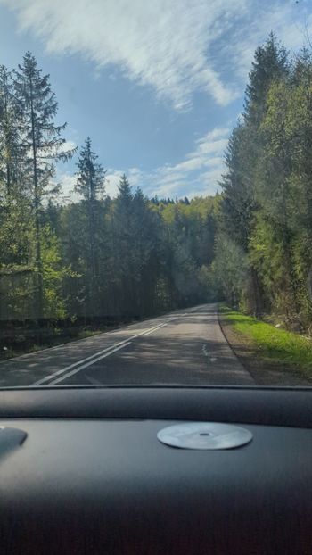  - Universul Natura și lumea mea frumoasă!