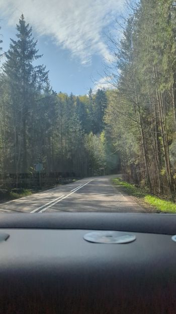  - Universul Natura și lumea mea frumoasă!