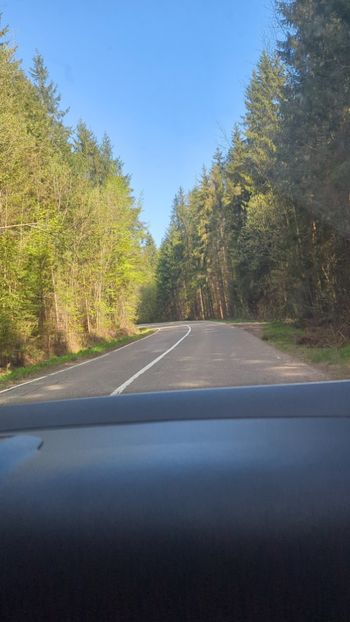  - Universul Natura și lumea mea frumoasă!