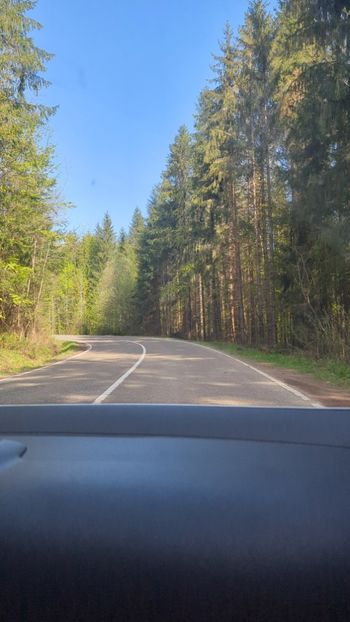  - Universul Natura și lumea mea frumoasă!