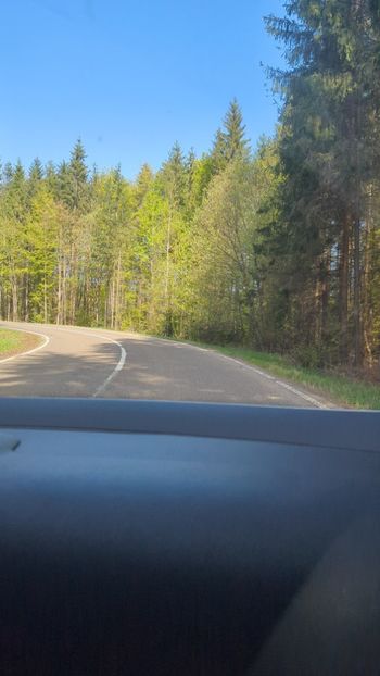  - Universul Natura și lumea mea frumoasă!