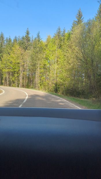  - Universul Natura și lumea mea frumoasă!