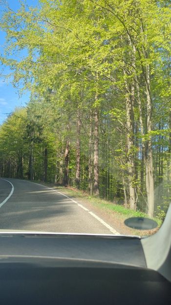  - Universul Natura și lumea mea frumoasă!