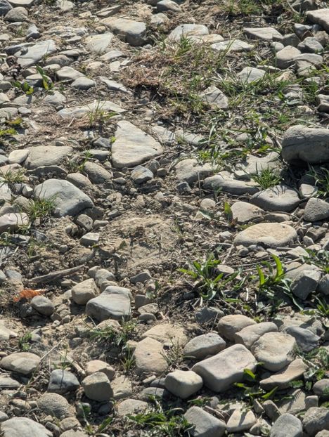  - Universul Natura și lumea mea frumoasă!