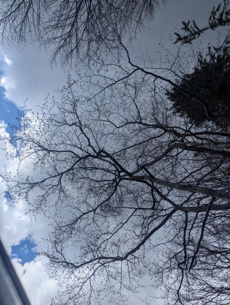  - Universul Natura și lumea mea frumoasă!