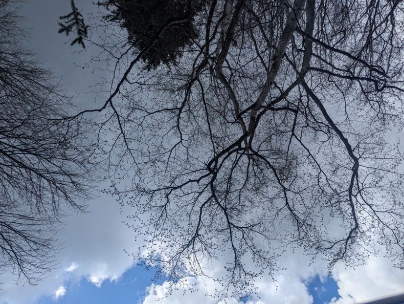  - Universul Natura și lumea mea frumoasă!