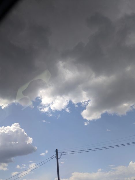  - Universul Natura și lumea mea frumoasă!