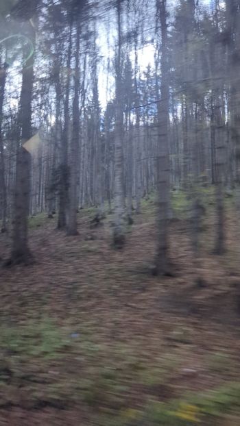  - Universul Natura și lumea mea frumoasă!