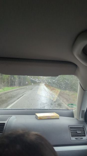  - Universul Natura și lumea mea frumoasă!