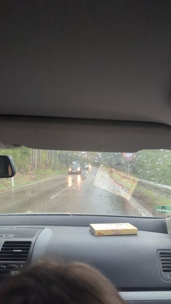  - Universul Natura și lumea mea frumoasă!