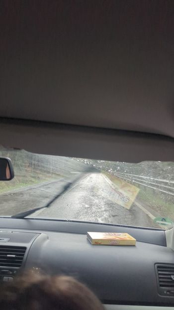  - Universul Natura și lumea mea frumoasă!