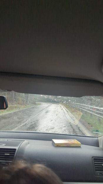  - Universul Natura și lumea mea frumoasă!