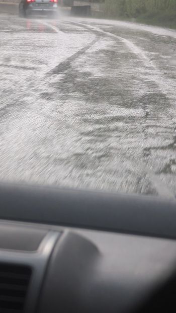  - Universul Natura și lumea mea frumoasă!