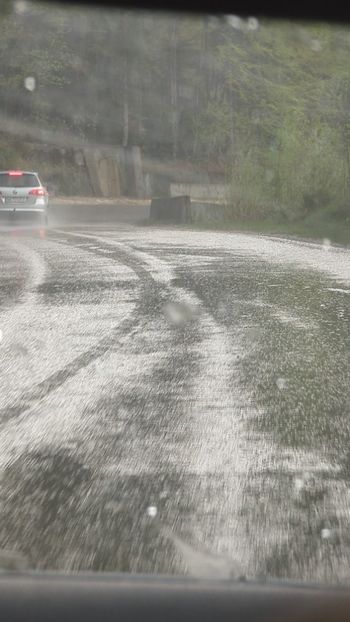  - Universul Natura și lumea mea frumoasă!