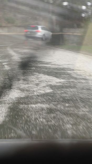  - Universul Natura și lumea mea frumoasă!