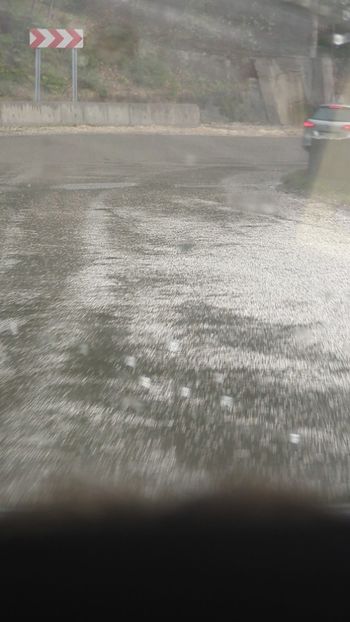  - Universul Natura și lumea mea frumoasă!