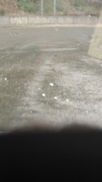  - Universul Natura și lumea mea frumoasă!