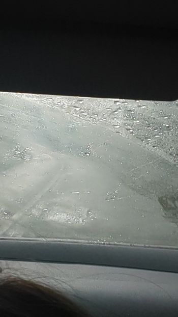  - Universul Natura și lumea mea frumoasă!