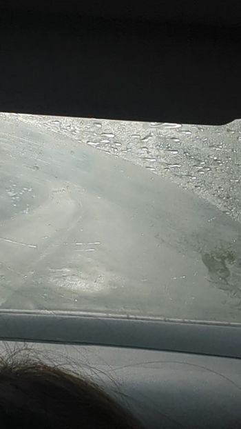  - Universul Natura și lumea mea frumoasă!