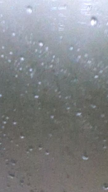  - Universul Natura și lumea mea frumoasă!