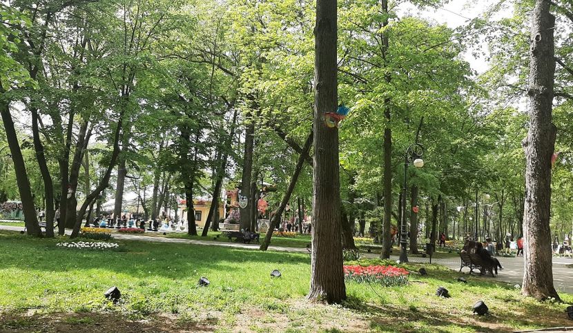  - My friends POZE COOL Gheorghe 2025!