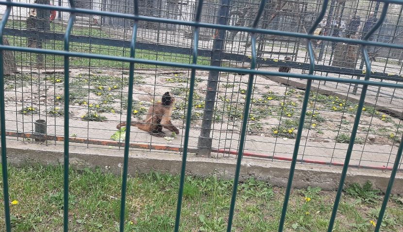  - My friends POZE COOL Gheorghe 2025!