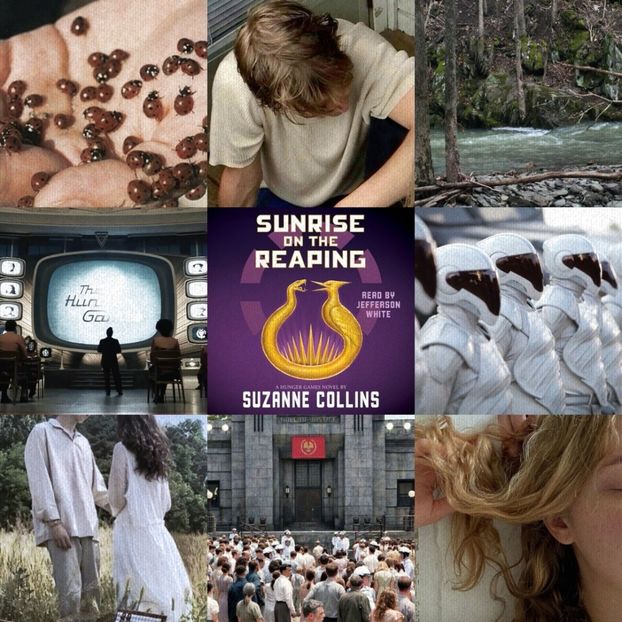 ⠀Ṣụṇṛịṣẹ.. —Suzanne♥Collins.  ·✭✭✭✭✬·   .｡`₀.₅The Hunger Games྅Dystopia´ - wipe stardust from your eyes
