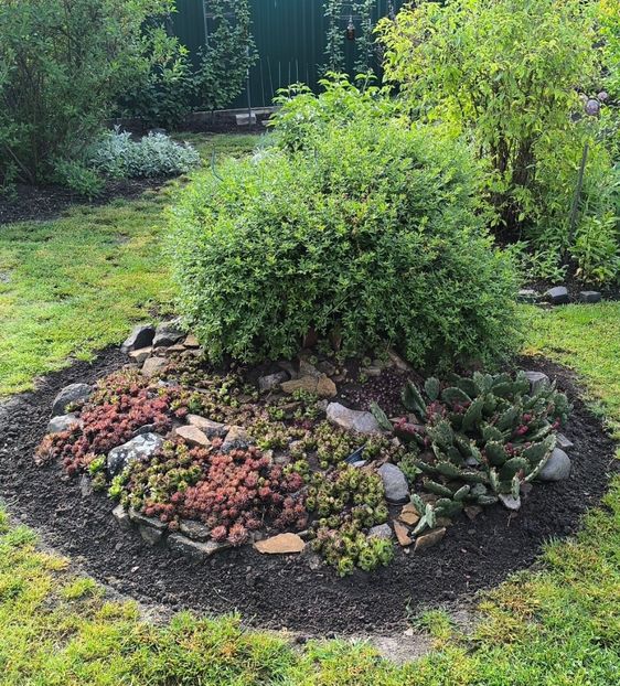 Aprilie 2025 - Gradina si terasa PrimaLuce__11-Hello 2025