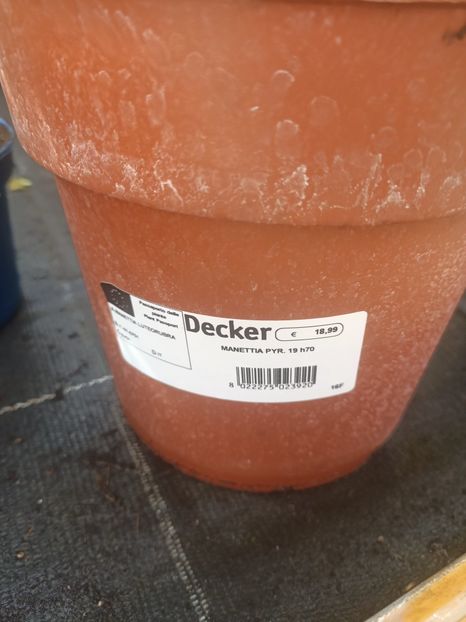 IMG20250501105640 - Magazinul 5