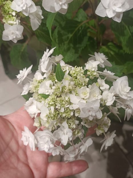 Img.2025.04.30 - Magazinul 5