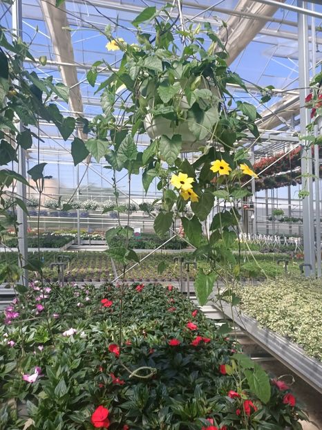 Img.2025.05.01 - Magazinul 5