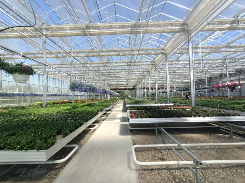 Img.2025.05.01-sere... - Magazinul 5